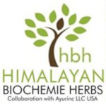 Herbal Extracts Logo